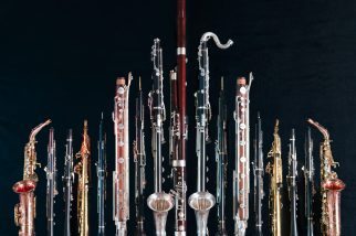 Nieuw album: Organisms